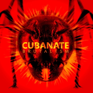 Cubanate Brutalism front cover image picture