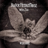 Black Needle Noise Wild Stone Download primary image cover photo