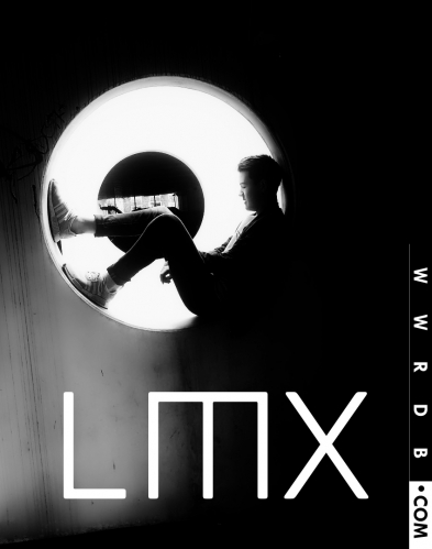 LMX primary image photo logo